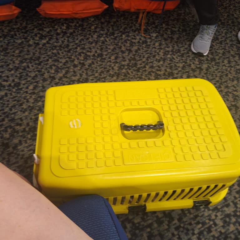 İDO Evcil Hayvan Kutusu Nedeniyle Yaşanan Mağduriyet