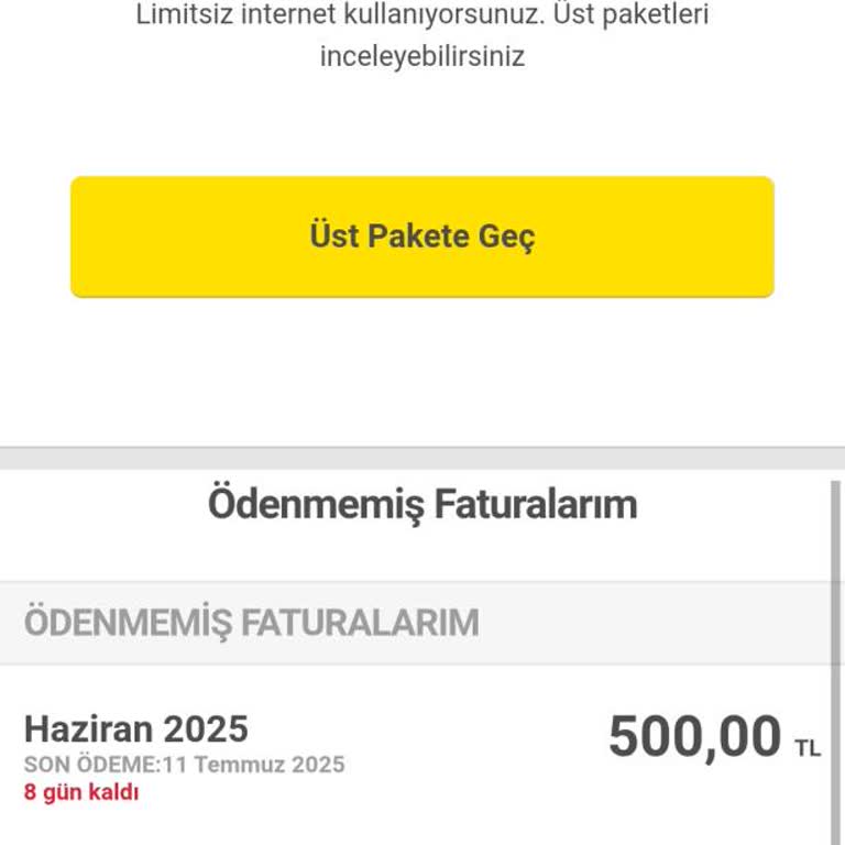 Engelli İndiriminin Haber Verilmeden Kaldırılması Ve Yüksek Fatura Kesilmesi