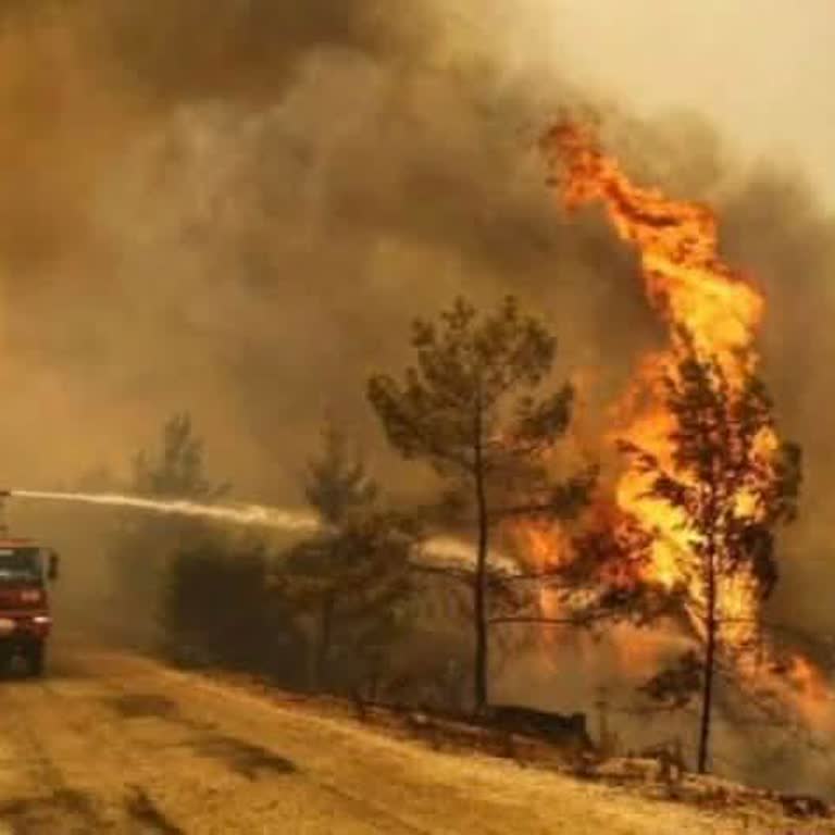 İade Edilmeyen İthalat Vergisi Mağduriyeti