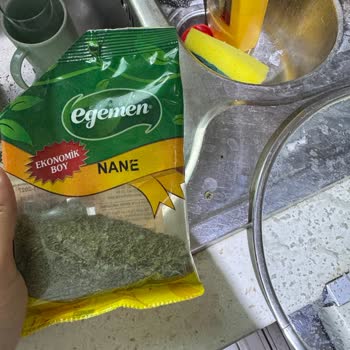 Kuru Nanede Uğurböceği Çıkması Nedeniyle Sağlık Endişesi