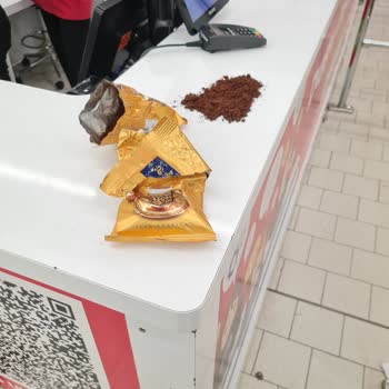 Kurtlu Kahveye Kötü Muamele Ve İlgisiz Müdür