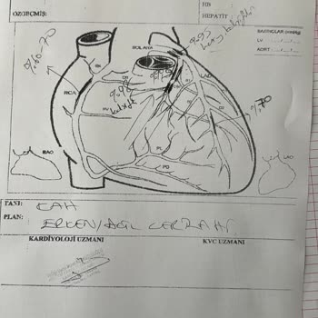 Sigorta Sorumluluklarını Yerine Getirmiyor, Mağdur Edildim!