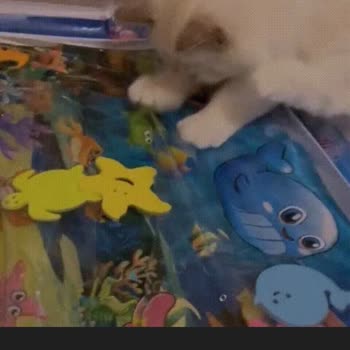 Zentyies Havuz Yatağı Fotoğraftakinden Çok Farklı