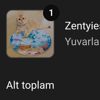 Zentyies Havuz Yatağı Fotoğraftakinden Çok Farklı