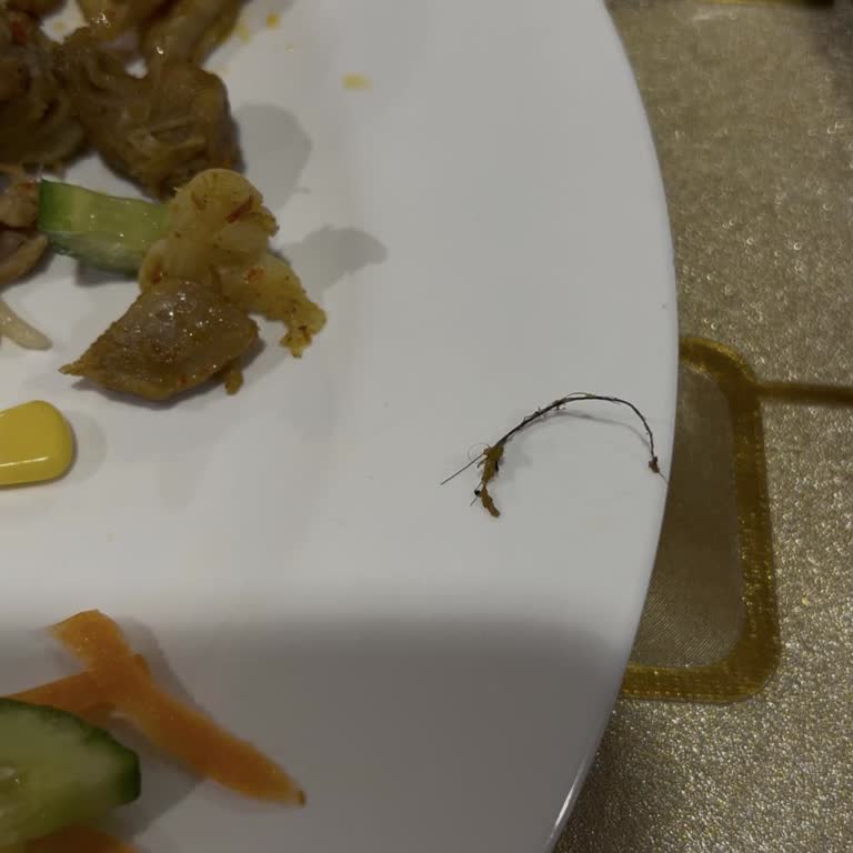 Hac Turunda Hijyen Ve Konaklama Fiyaskosu: Sağlığımız Tehlikede