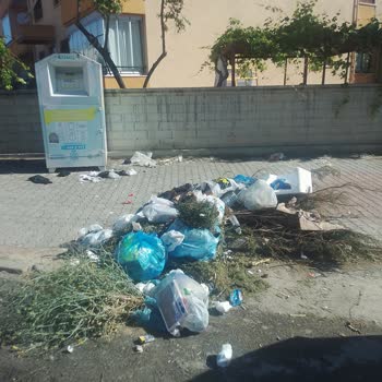 Gece Saatlerinde Çöp Toplama Gürültüsü Ve Belediyeden Geri Dönüş Alamama