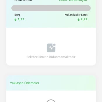 Düzenli Ödememe Rağmen Limit Tanımlanmıyor