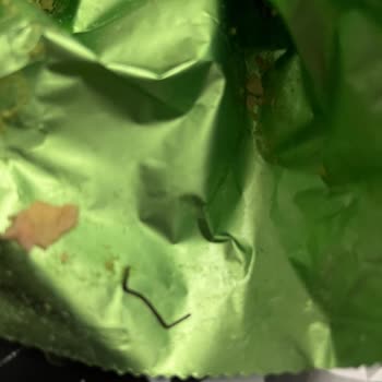 Gofret İçinden Zımba Teli Çıktı: Çocuklar İçin Büyük Tehlike!