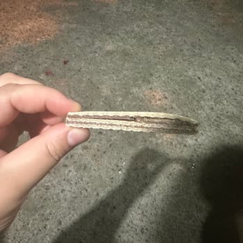 Aldığım Hoşbeş Gofret Bayat Ve Eksik Kremalı Çıktı