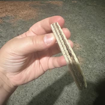 Aldığım Hoşbeş Gofret Bayat Ve Eksik Kremalı Çıktı