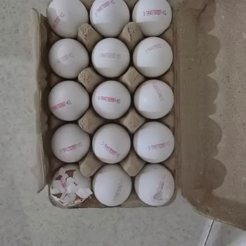 Şok Market Siparişimde Kırık Yumurta Ve İlgisiz Müşteri Hizmetleri Mağduriyeti