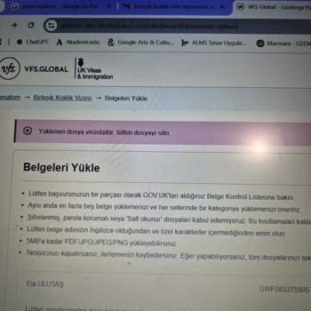 Vize Başvuru Sisteminde Dosya Yükleme Sorunu Ve Psikolojik Yıpranma