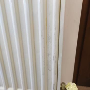 Temizlik Şirketinin Yetersiz Ve Saygısız Hizmetiyle Hayal Kırıklığı