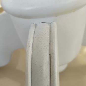 Temizlik Şirketinin Yetersiz Ve Saygısız Hizmetiyle Hayal Kırıklığı