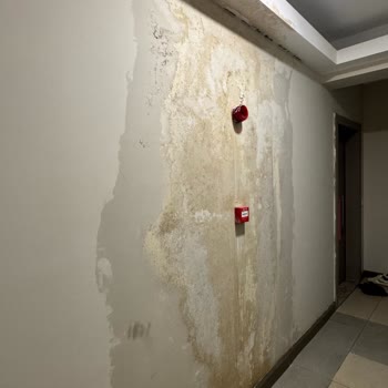 Fms Site Yönetimi Sur Yapı'da Fahiş Aidatlar ve Eksik Hizmetlerle Mağduriyet Yaşıyoruz