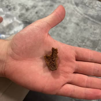 Doritos Cipsten Çıkan Yabancı Maddeyle Büyük Hayal Kırıklığı Yaşadık