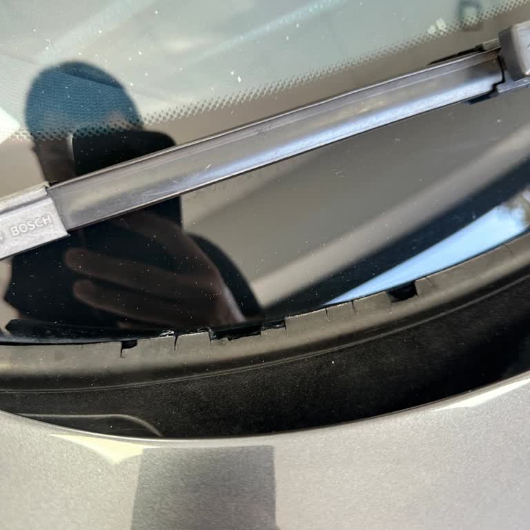 BMW F22 Ön Cam Izgarası Çatlağı İçin Parça Değişimi Talebi