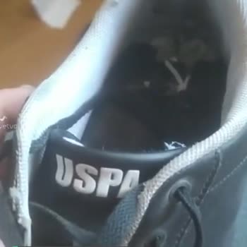 U. S. Polo Assn. Garanti Kabul Etmedi!