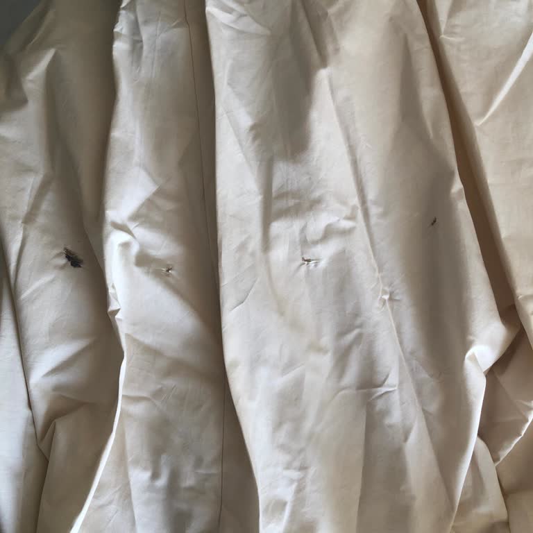 I Report Torn Product Delivery From Mango Online Shopping