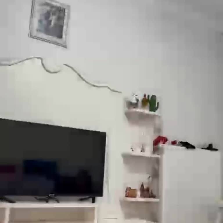 Yeni Alınan İphone 16 Pro'da Ekran Ve Kamera Sorunları Çözülmüyor