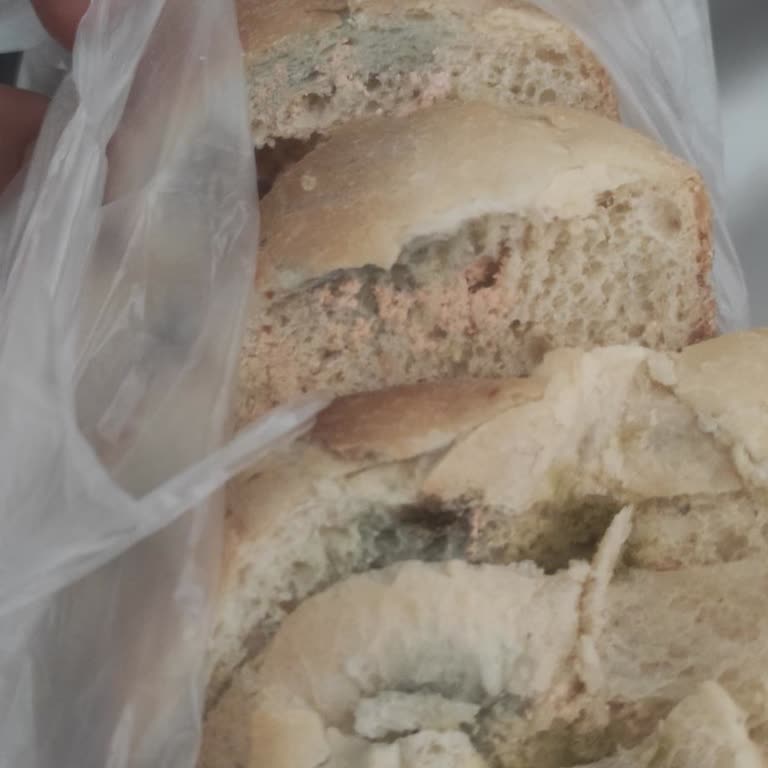 A101'den Alınan Küflü Ekmek Ve İlgisiz İade Süreci