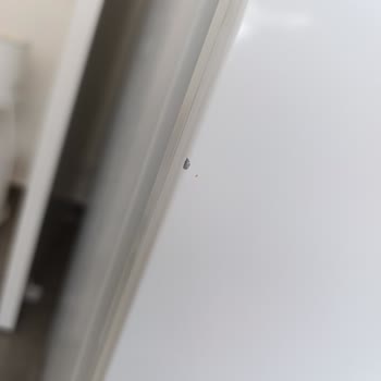 Samsung Buzdolabında Kapı Lastiği Ve Gövde Sorunları, Servis İlgisizliği