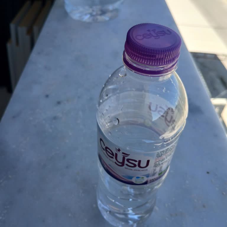 Ceysu Suya Ulaşamamak Mağduriyet Yaratıyor