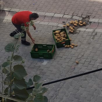 BİM Marketin Gürültülü Ve Hijyenik Olmayan Çalışma Şartları