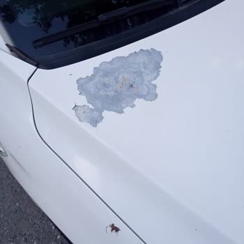 Peugeot 301'de Boya Atması Ve Servisin Çözüm Sunmaması Güvenimi Sarstı