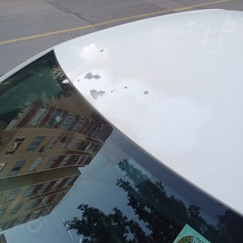 Peugeot 301'de Boya Atması Ve Servisin Çözüm Sunmaması Güvenimi Sarstı