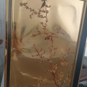 Yanıltıcı Ürün Bilgisi Ve Dayanıksız Sunum Tepsisi Nedeniyle Mağduriyet