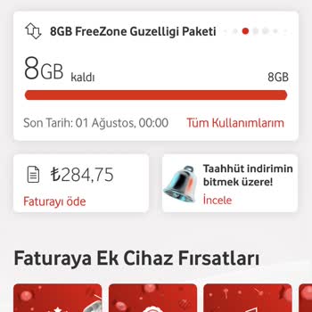 Vodafone FreeZone 8 GB İnternet Paketimi Kullanamıyorum