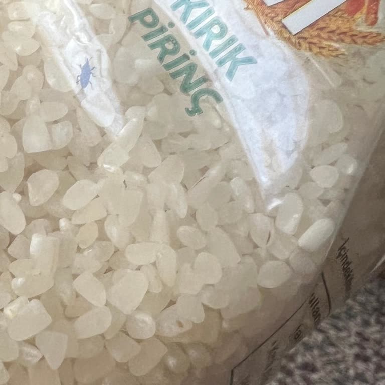 Aldığım Pirinçte Böcek Çıktı: Acil Çözüm Bekliyorum