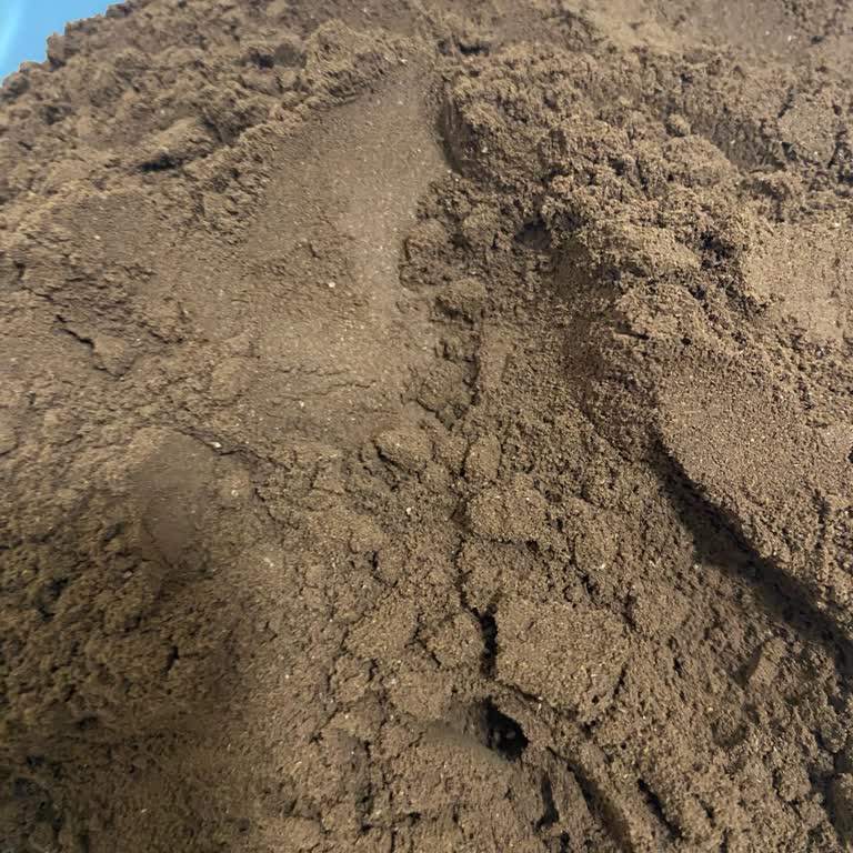 Kahvenin İçinden Böcek Çıkması Şoku!