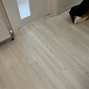 Koltuk Değişimi Sırasında Evimi Kirletip Benden Haksız Ücret Aldılar