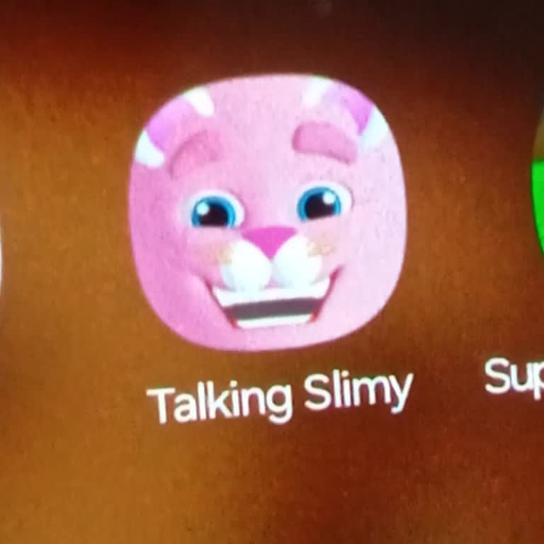 My Talking Slimy Cat Friends Habersiz Para Çekimi Ve İade Talebi