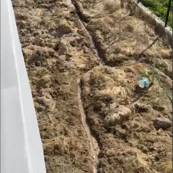 Enez Belediyesi'nin İhmal Ettiği Su Borusu Patlağı Evimizi Ve Sağlığımızı Tehdit Ediyor