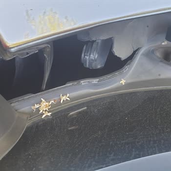 BMW X1'de Plastik Parçaların Çürümesi Ve Su Sızdırması Can Sıkıyor