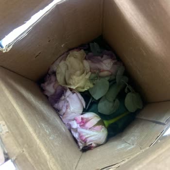 Siparişim Geç Ve Kötü Durumda Teslim Edildi Mağduriyetim Giderilmiyor