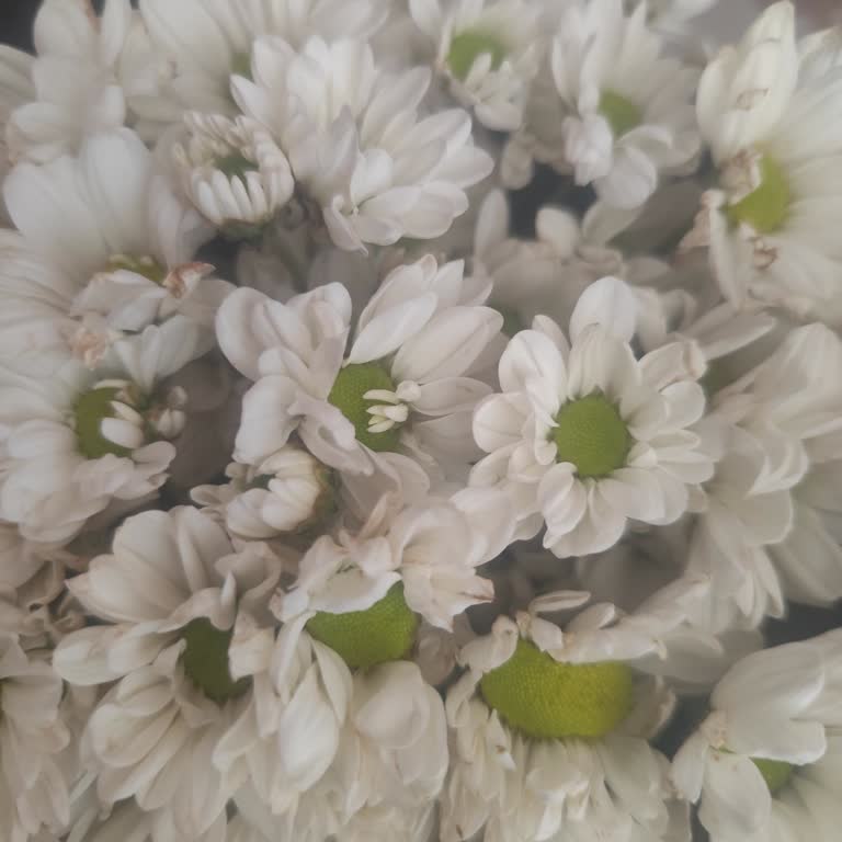 Görseldekiyle Alakası Olmayan Solmuş Çiçek Gönderildi