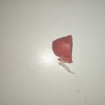 Sosisin İçinden Plastik Parçası Çıktı: Sağlığımız Tehlikede!