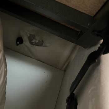 Mobilya Teslimatında Eksik Ürün, Kusurlu Montaj Ve İletişim Sorunları