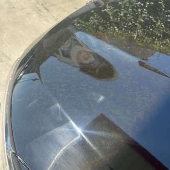 Bulut Smx Kimya Aracımın Ppf Kaplaması Şampuan Nedeniyle Zarar Gördü, Firma Sorumluluk Almadı