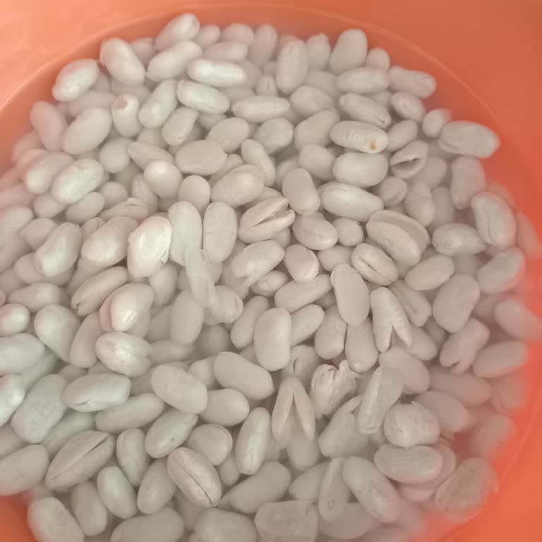 Duru Kuru Fasulyede Kırık Ve Dağılmış Taneler Hayal Kırıklığı Yaşattı