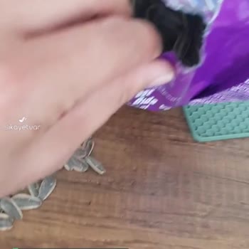Amigo Boş Çekirdek Paketi