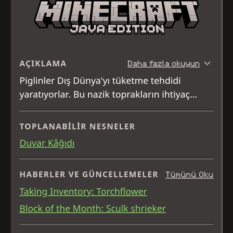 Hesabım İnceleme Sürecinde Mağdur Oldum, Sorunum Çözülmüyor!