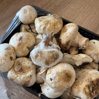 Migros'tan Aldığım Ürünlerde Böcek Ve Bozukluk Şoku