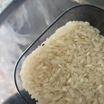 Migros'tan Aldığım Ürünlerde Böcek Ve Bozukluk Şoku