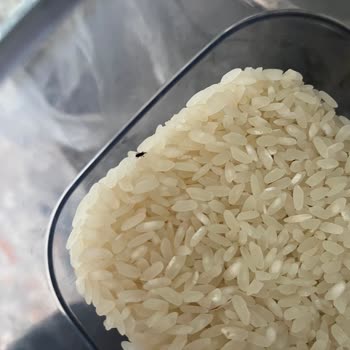 Migros'tan Aldığım Ürünlerde Böcek Ve Bozukluk Şoku