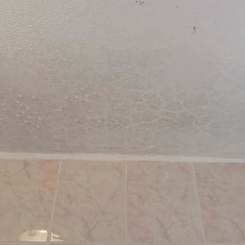 Konut Asistans Hizmetinde Ciddi Aksaklık Ve İletişim Sorunu